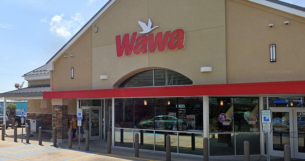 Wawa Making a Bold Move By Introducing Two New Food Items