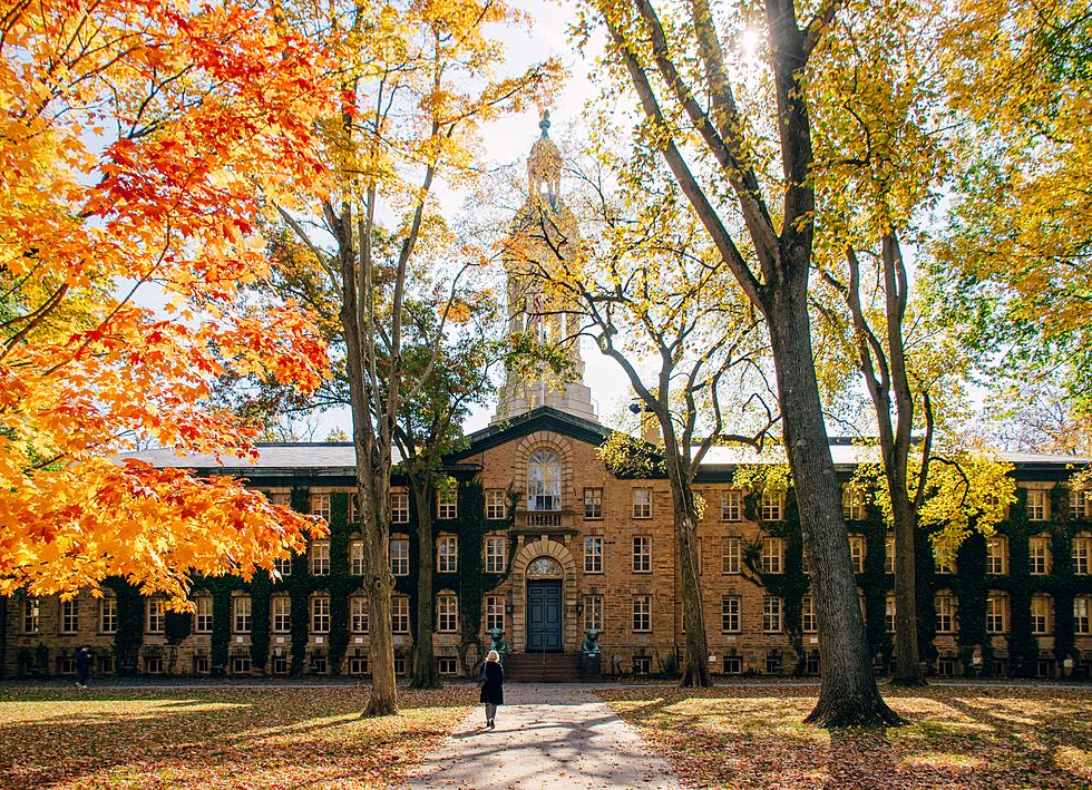 The Top 15 Hardest Colleges To Get Into In New Jersey – 2022