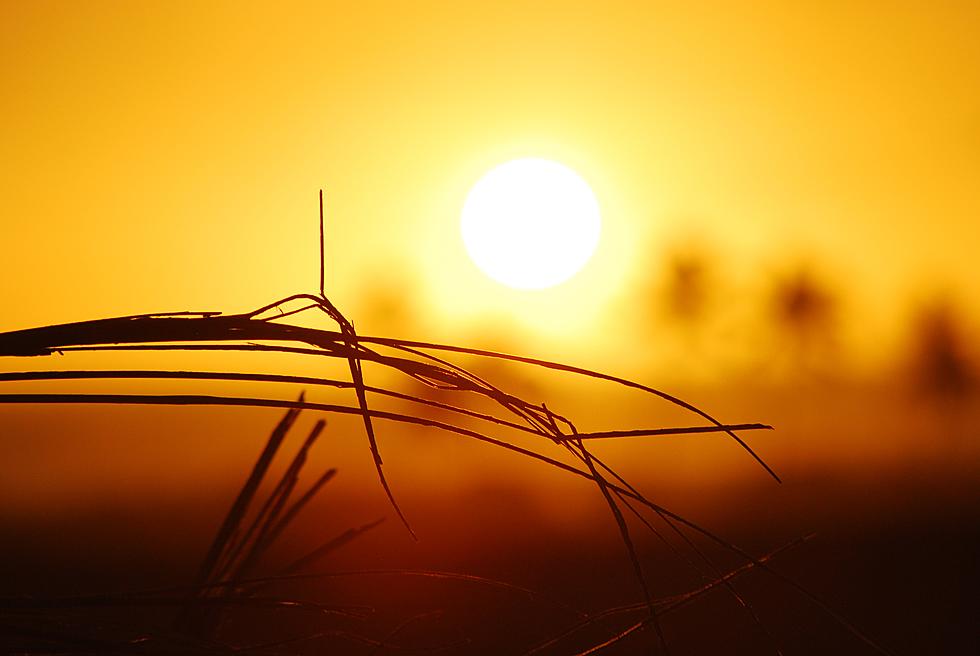 Are Monmouth County, NJ High Temperature Records Safe This Week?