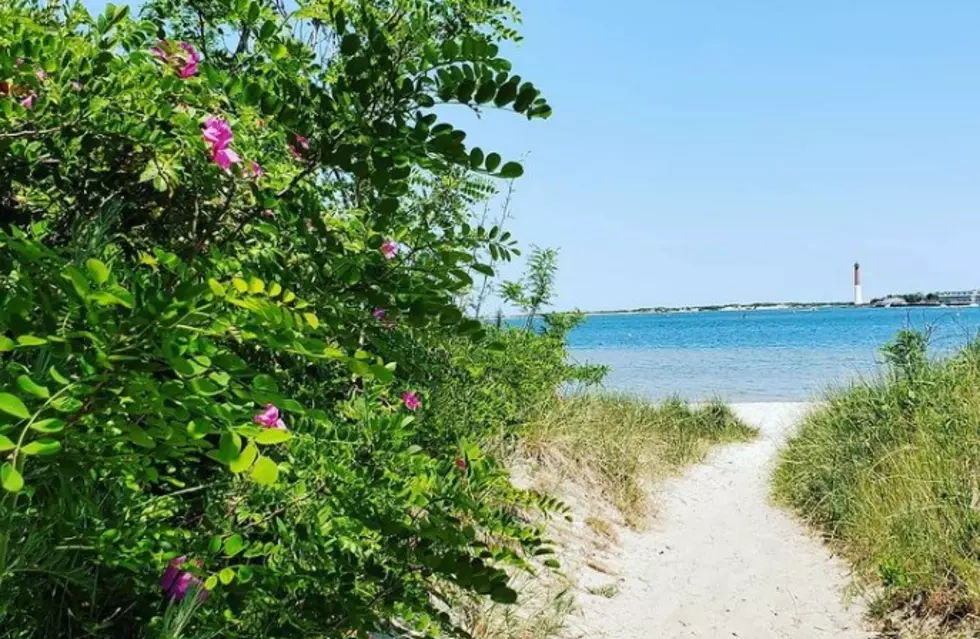 Exposing an Elusive and Beautiful Secret Beach in Ocean County