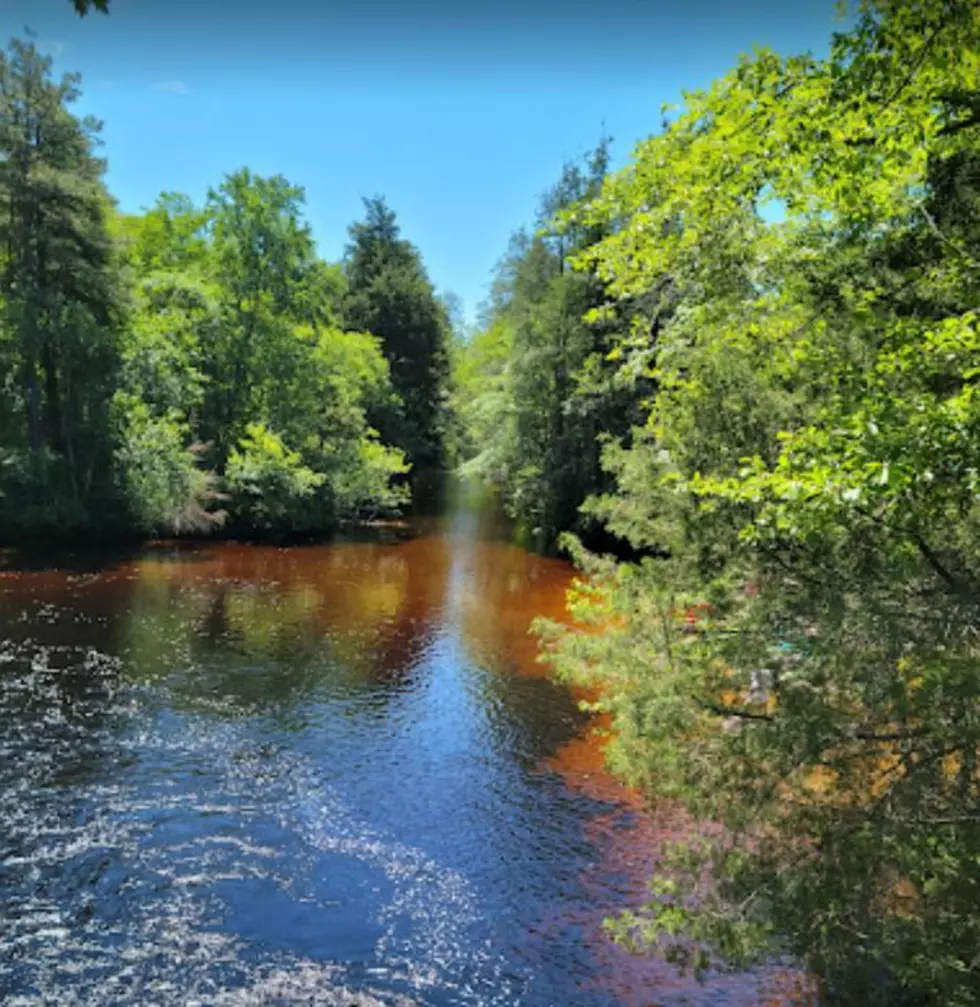 New Jersey State Park Closed To The Public Because Of Animal Illness