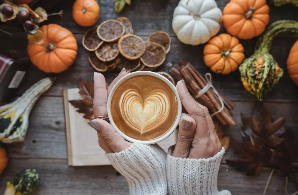 Pumpkin Spice Season In New Jersey Has Gone Over The Top