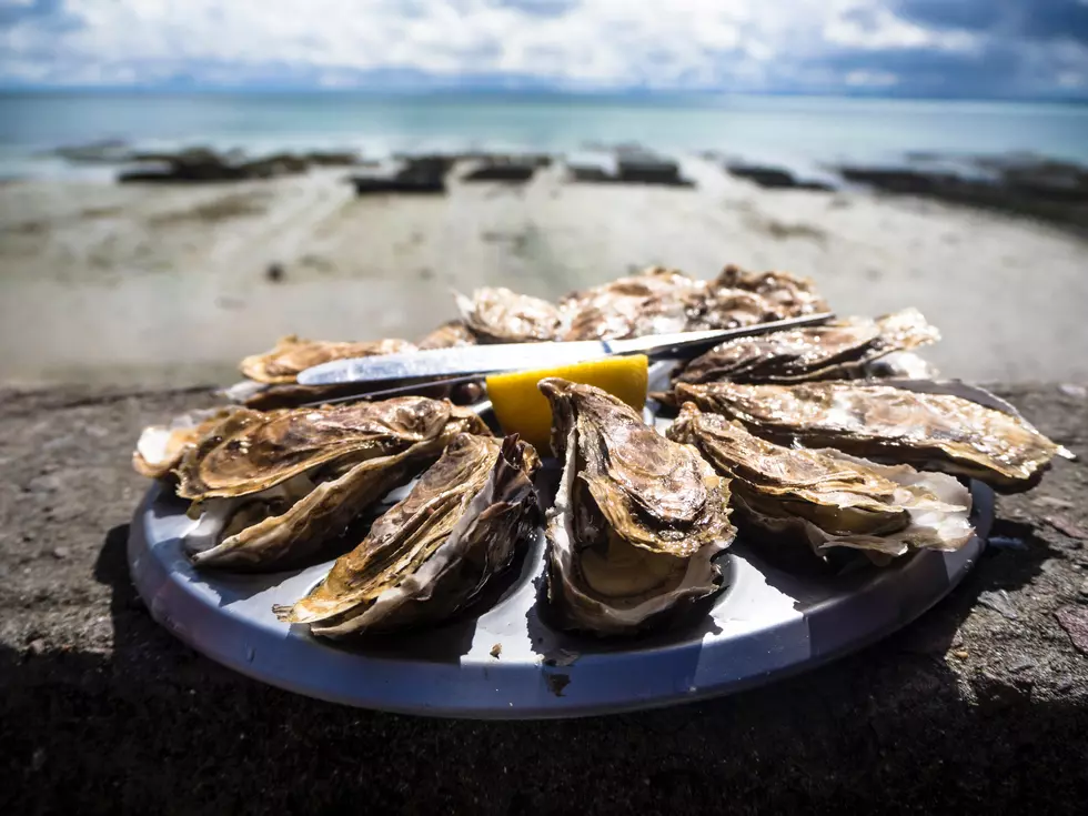 The Best Fresh Caught Seafood Market In New Jersey Was A Local Secret, Until Now