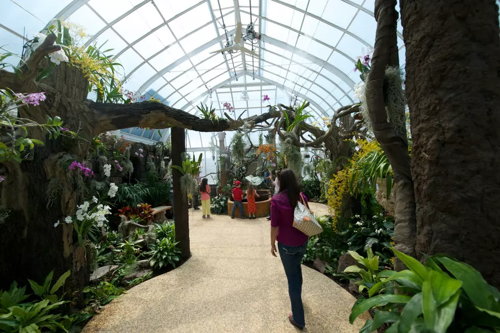 Duke Farms