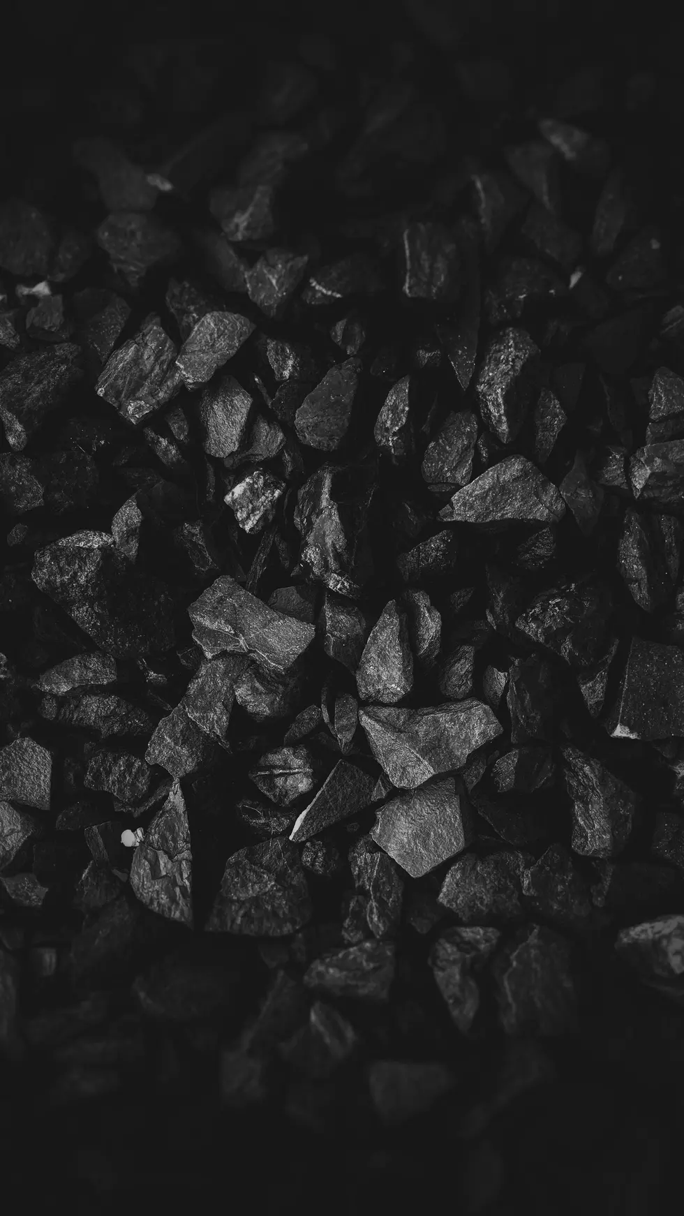Photo by Nick Nice on Unsplash