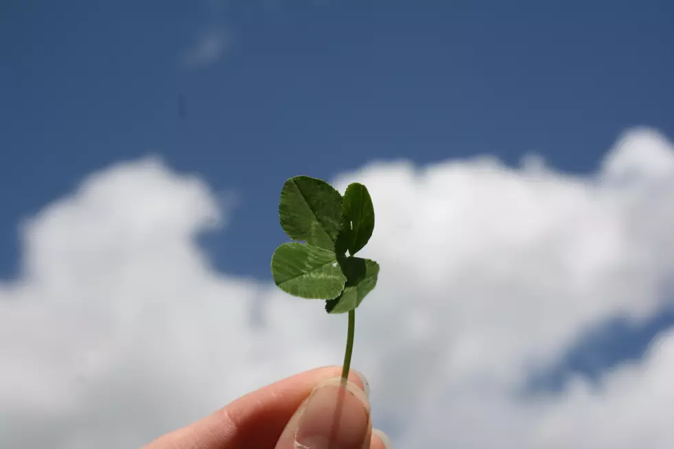 Photo by Barbara Krysztofiak on Unsplash