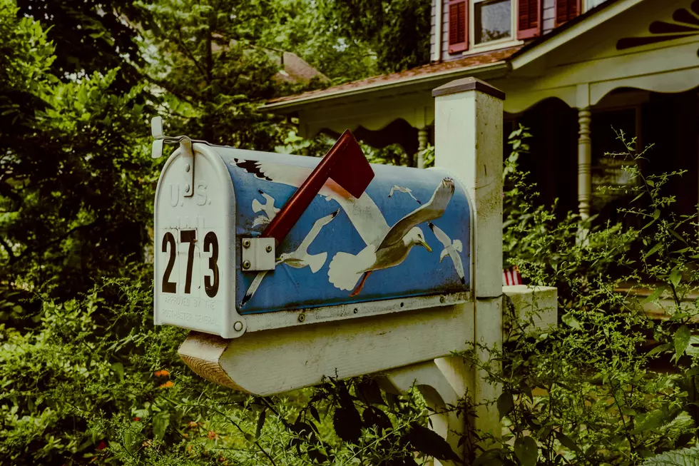Photo by Brian Lundquist on Unsplash