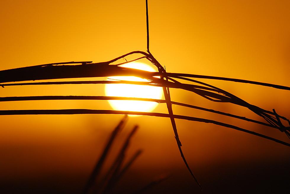 What Was It Like On The Hottest Day In New Jersey History?