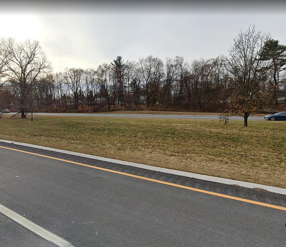 Is This The Most Beautiful Stretch Of Road In NJ?