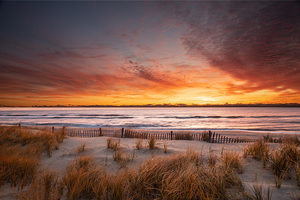 Making a Difference: NJNG’s Coastal Climate Initiative with The Nature Conservancy