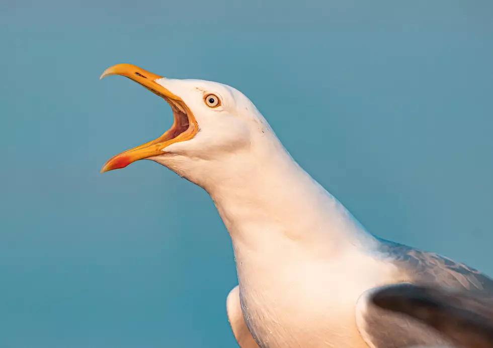 Photo by Peter F. Wolf on Unsplash