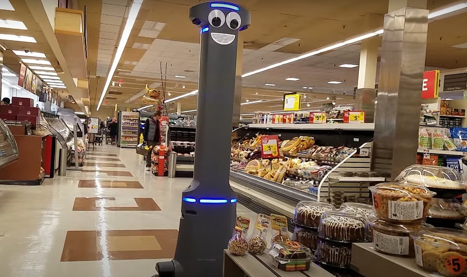 New Jersey Shoprite Robot Tally