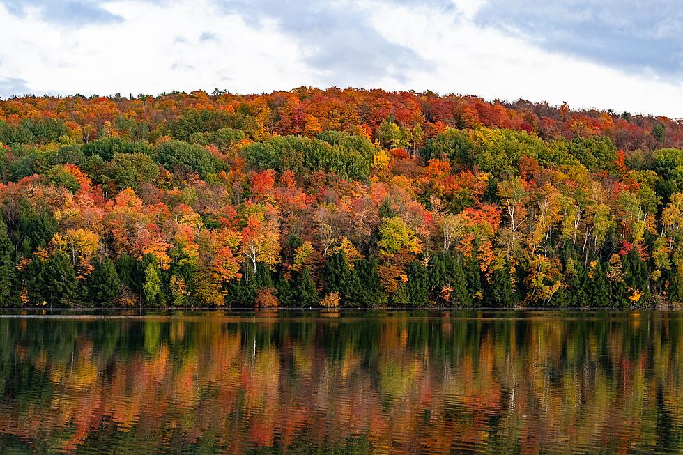 This Is The Perfect New Jersey Spot For Fall Foliage