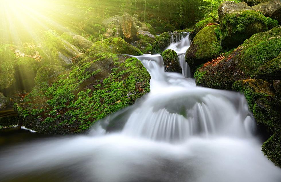 Hidden Gem Unveiled: The Tallest Waterfall in New Jersey Revealed