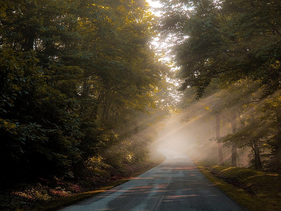Have You Ever Driven On The Loneliest Road In New Jersey?