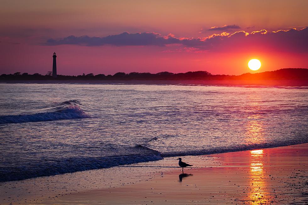 Travel Experts Say This Is New Jersey’s Ultimate Road Trip