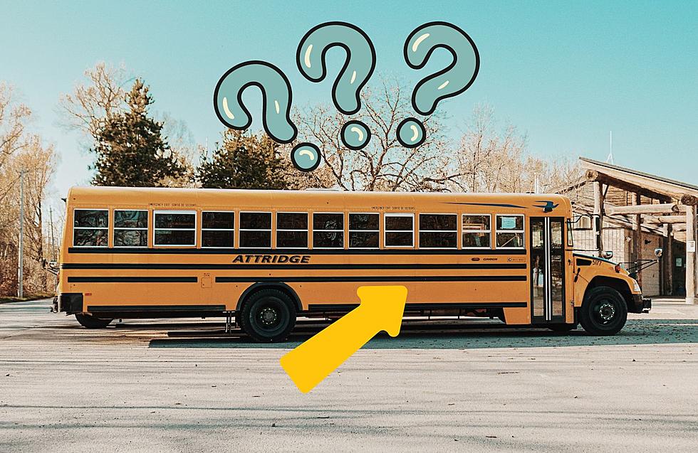 What Are the 3 Black Stripes on New Jersey School Buses For?