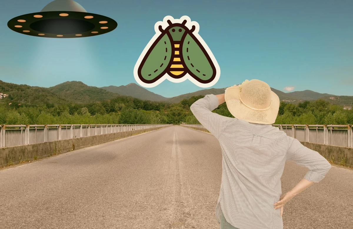 New Jersey Cicada Invasion 2024