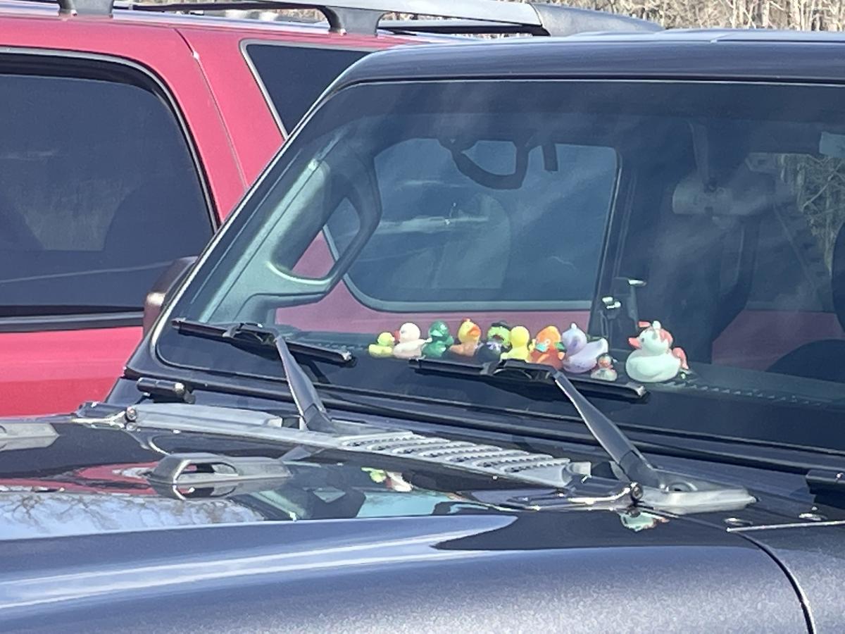 Why Dojeeps Have Ducks: Uncovering the Fun Jeep Ducking Trend
