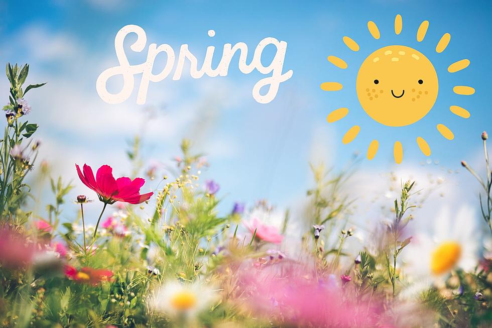 The Joyful Signs Of Spring At The Jersey Shore, According To You