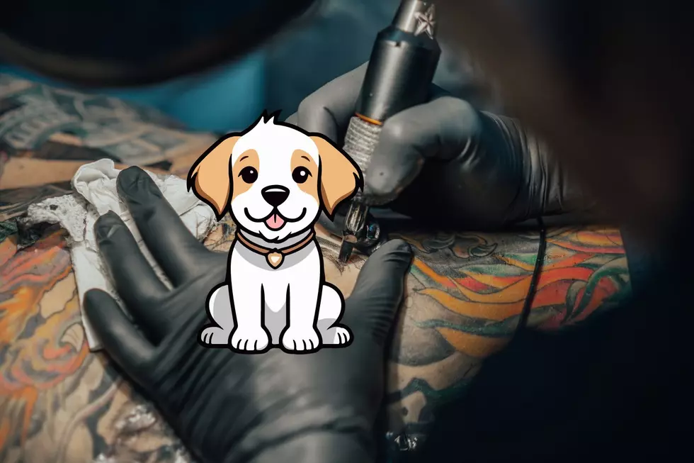Free Tattoo Redo! PetSmart Wants To Pay For Your Pet Tattoo