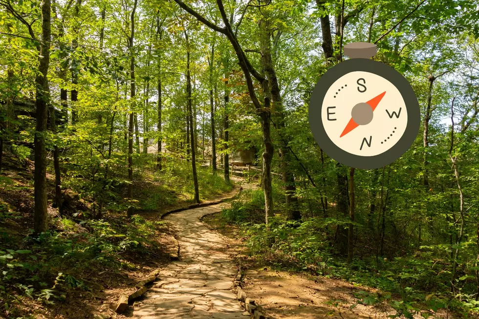 Embrace The Outdoors: The Best Hiking Trail In New Jersey