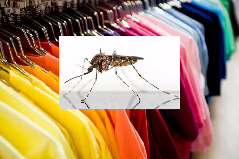 Keep Mosquitoes Away: Avoid Wearing These 4 Colors In New Jersey This Summer
