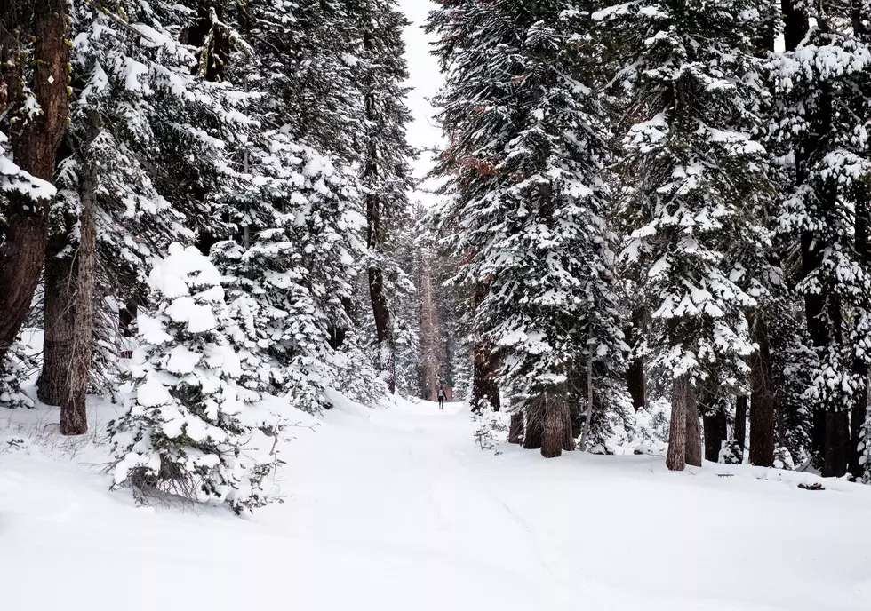 Photo by Todd Diemer on Unsplash