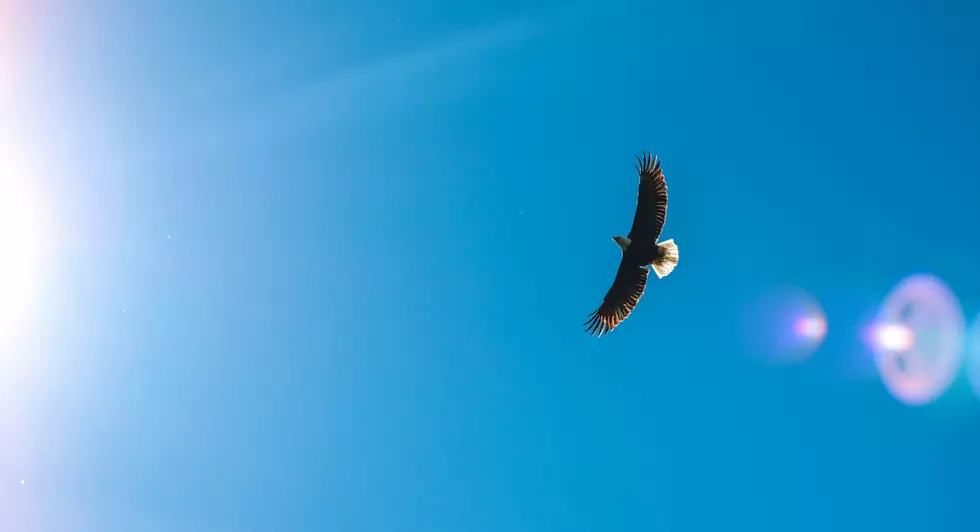 Photo by Rachel McDermott on Unsplash