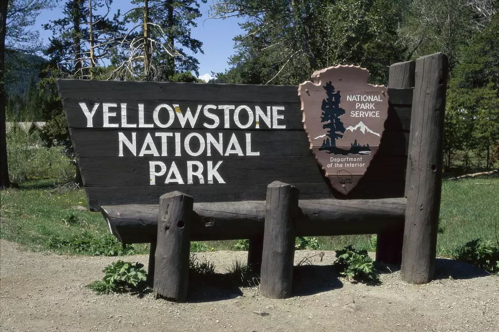 Yellowstone National Park Wyoming USA