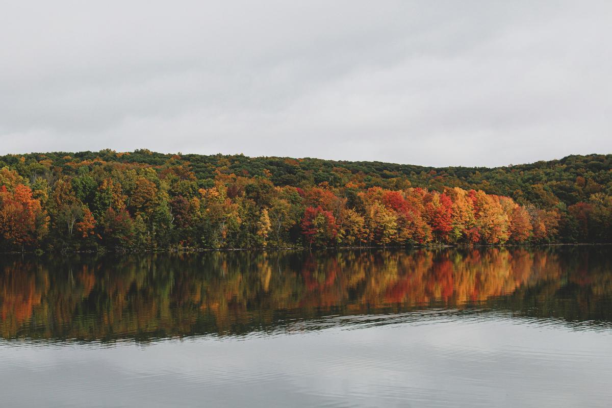 New Jersey’s Most Stunning Fall Foliage Spots