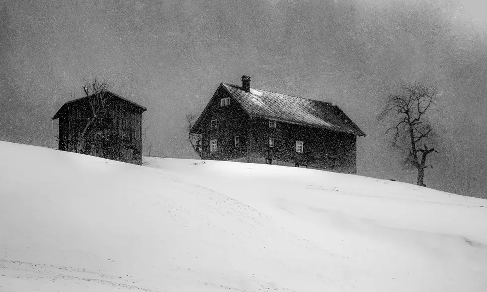 Photo by Christiane Nuetzel on Unsplash