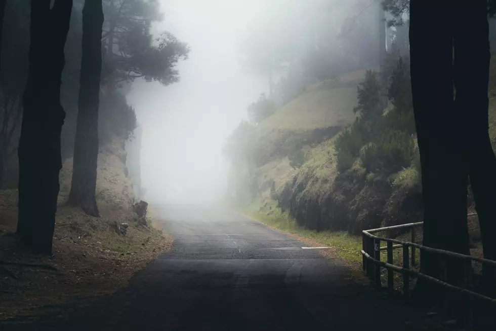 Photo by Dennis Schmidt on Unsplash
