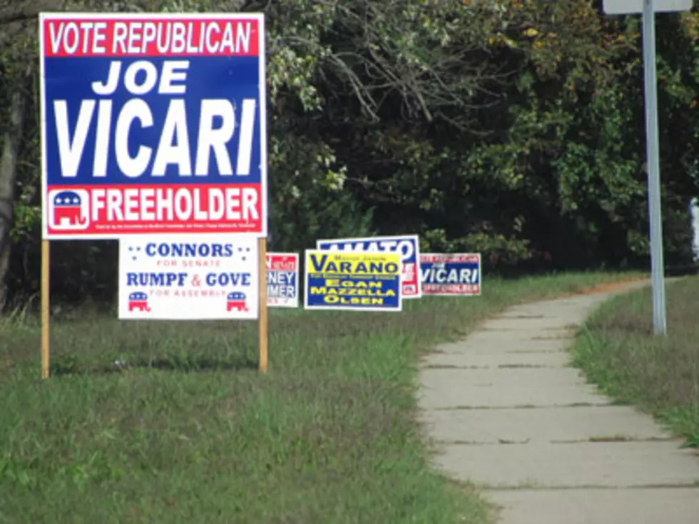 Election Season Brings Out Campaign Signs