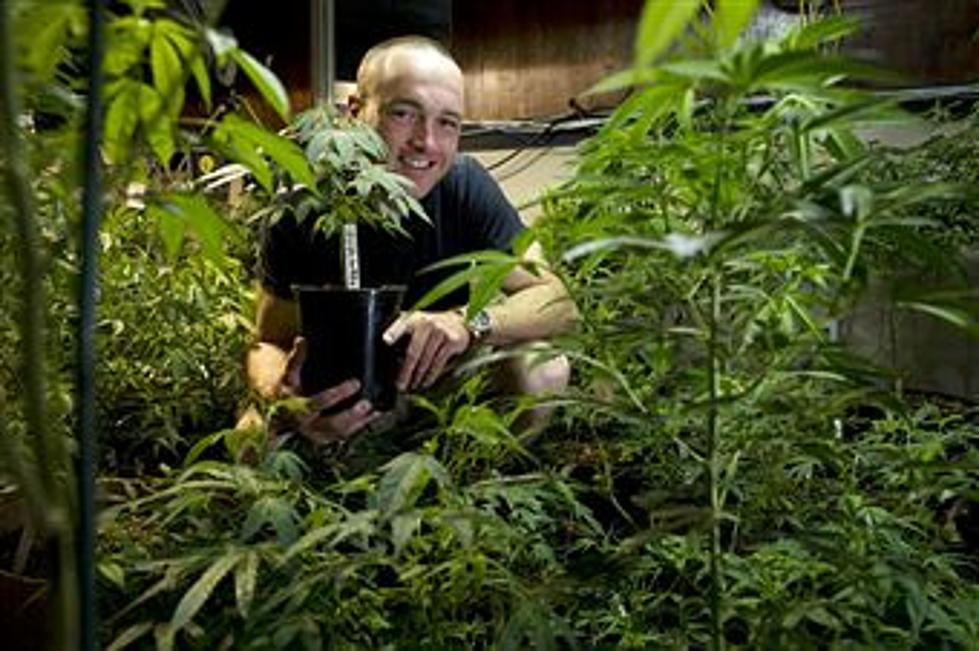 State’s Rural Communities Work to Block Marijuana Farms