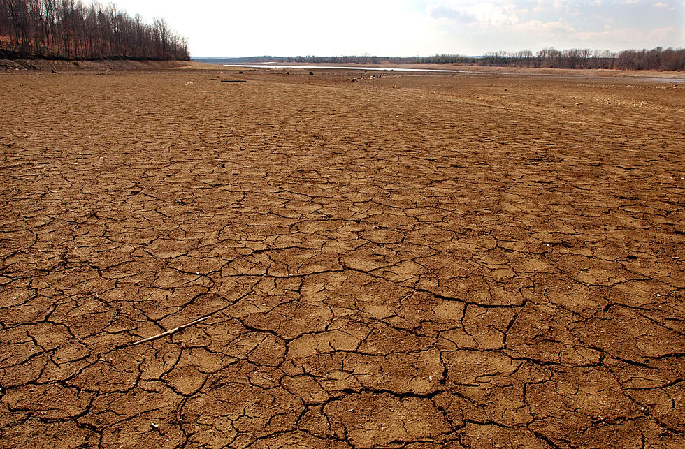 New Jersey faces &#8216;moderate drought&#8217; conditions