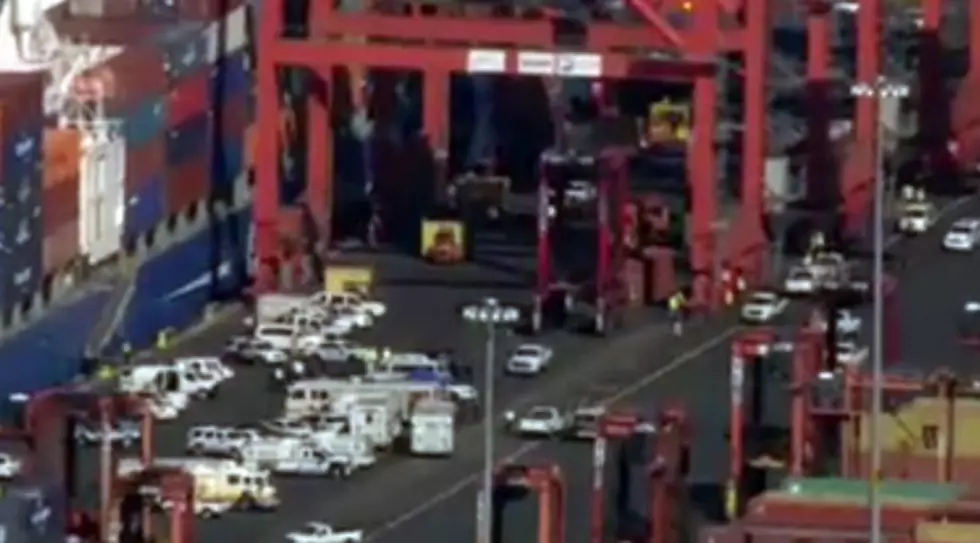 Stowaways Suspected In Ship&#8217;s Container At Port Newark [VIDEO]