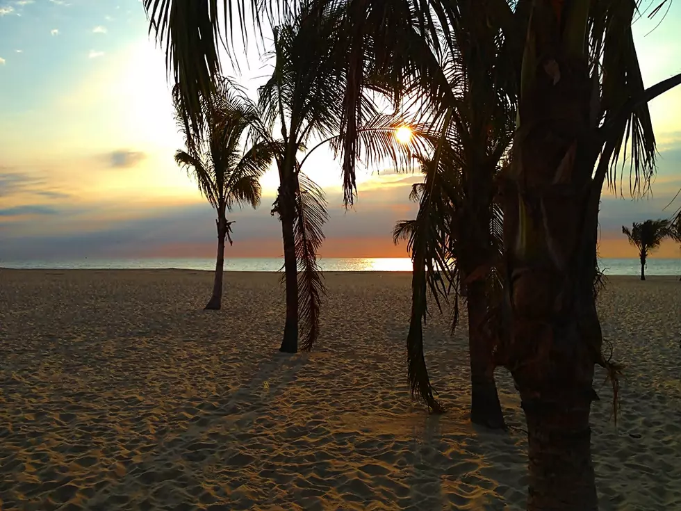 Join the Morning Beach Walk at Jenkinson's