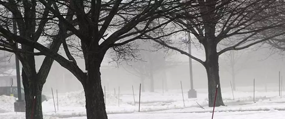 Like Weather, Brookdale Tuition Stays Frozen