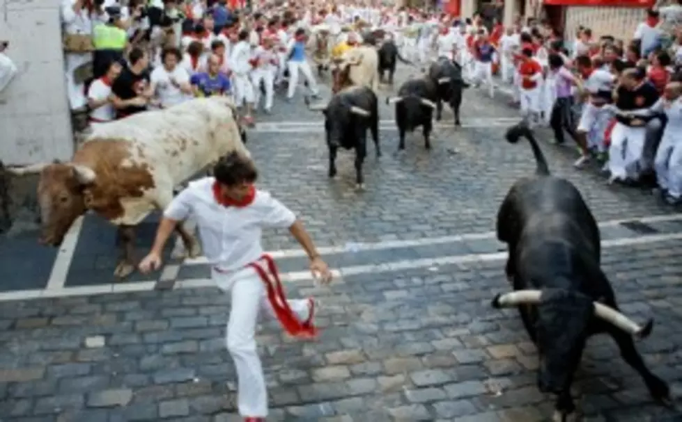 You Can Run With Bulls&#8230;But Would You Want To?