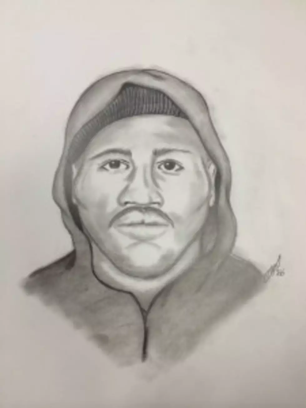 Sketch of 2nd Home Invasion Robbery Suspect Released