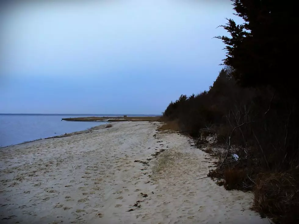 Reclamming the Bay