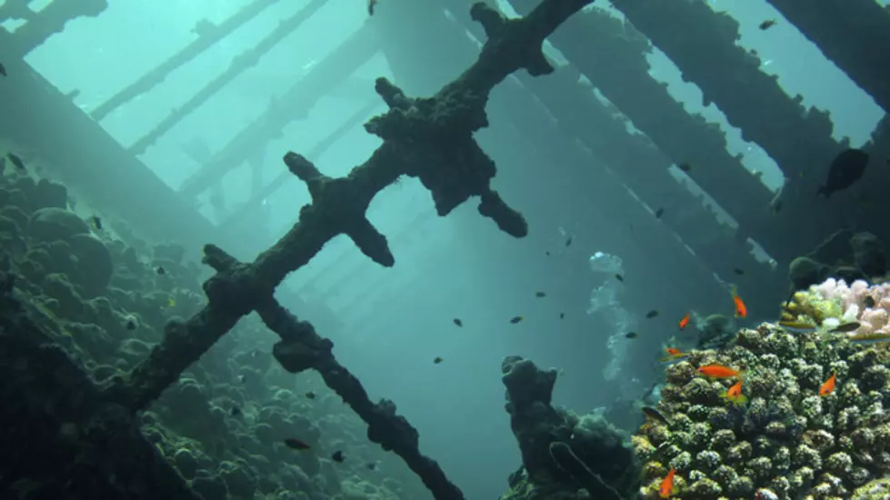 Watch – An Amazing Relic Recovered From a Shipwreck [Video]