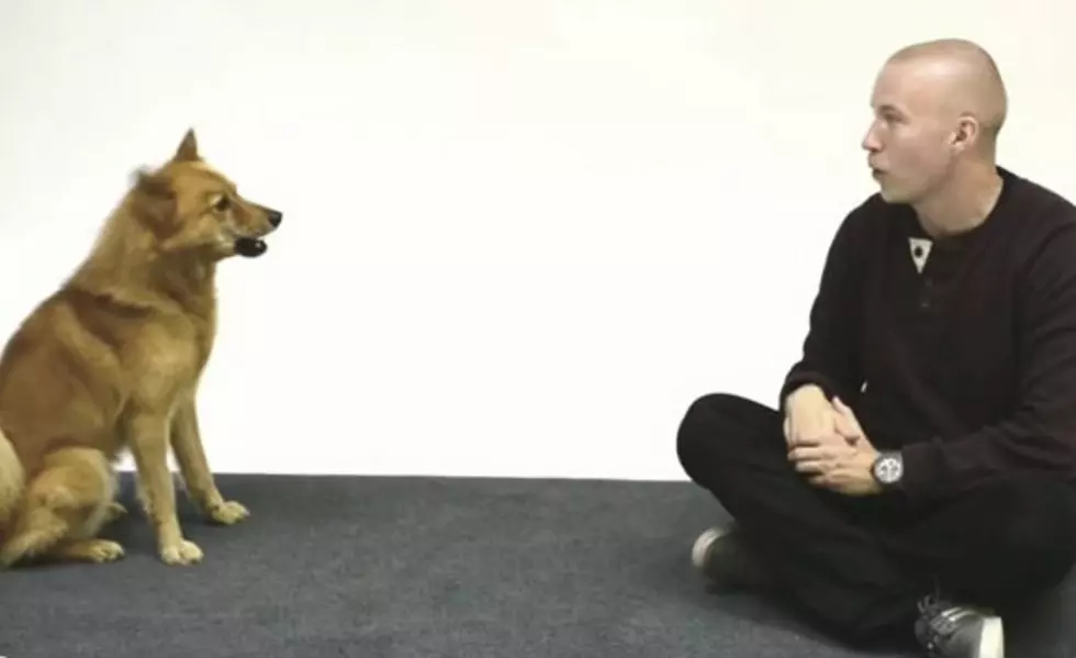 Watch This Comedian Try to Talk to Dogs [Video]
