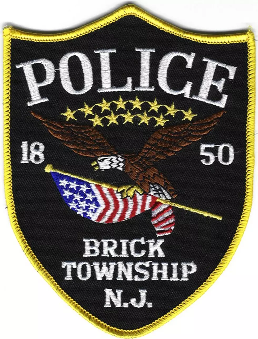 Brick P.D. Step Up Patrols Soon