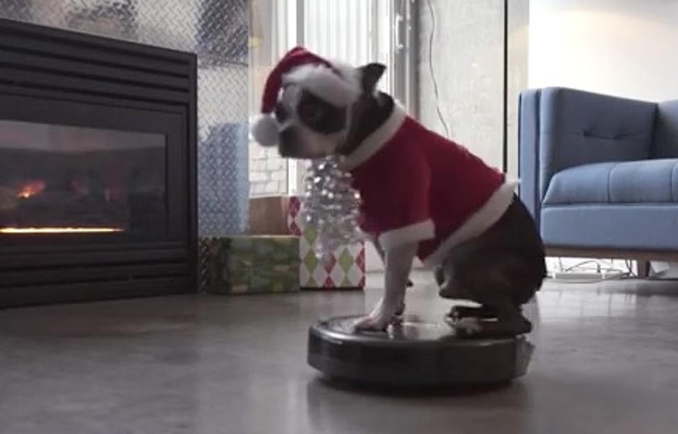 Merry Christmas From Roomba Dog [Video]