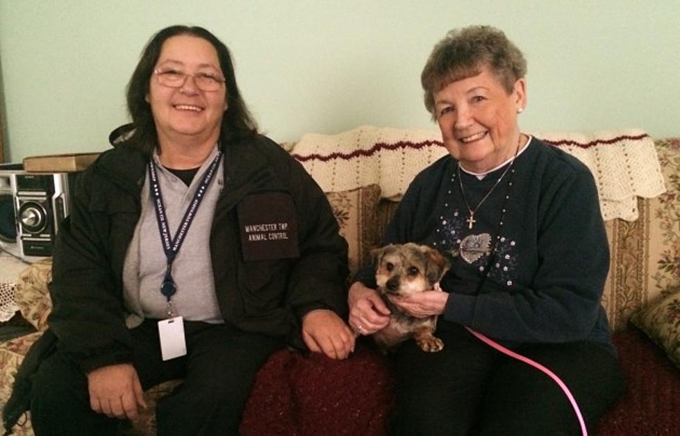 Missing Terrier Reunited with Her Owner in Manchester After Two Years