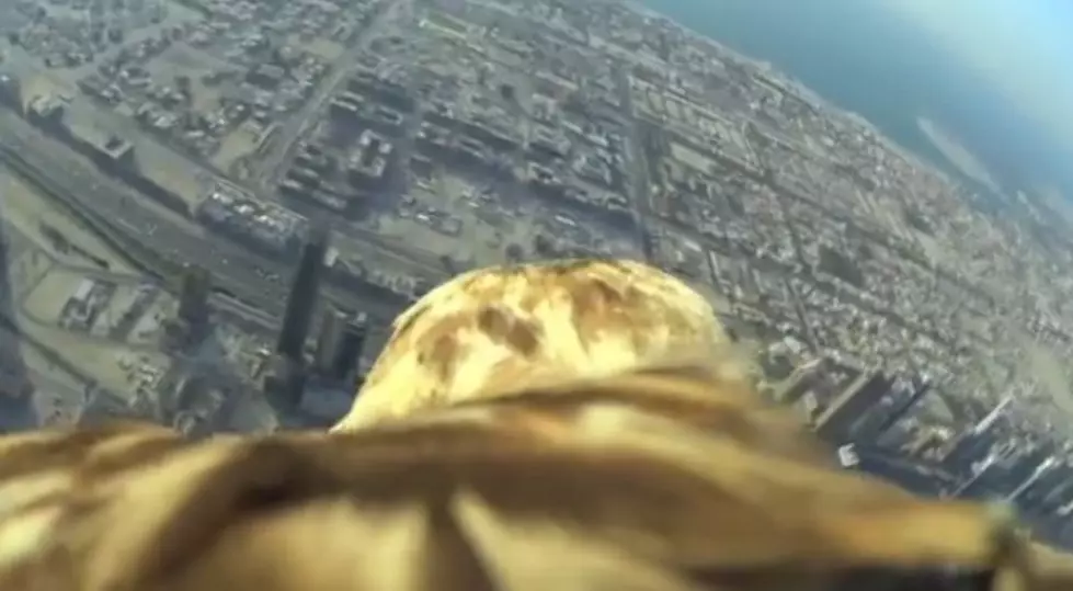 Watch An Amazing Birds Eye View Flight [Video]