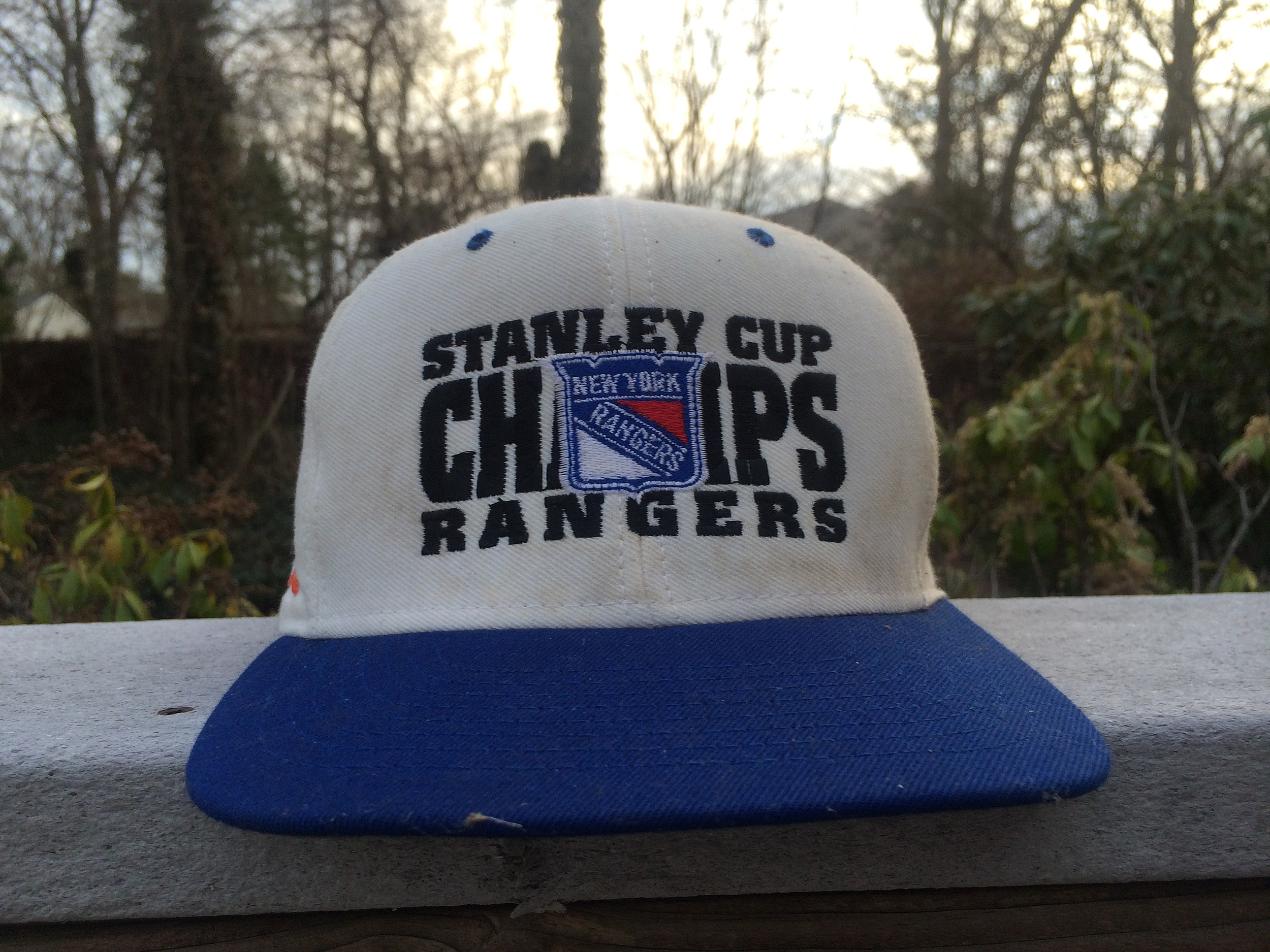 1994 stanley cup hat
