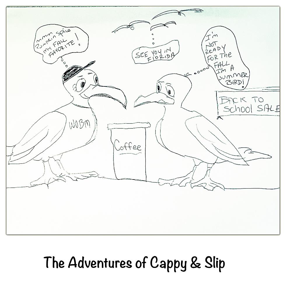 The Adventures of Cappy & Slip [CARTOON]